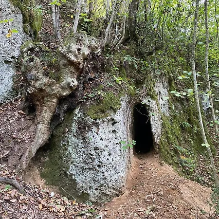 Montefosco Alloggio per agriturismo Sutri
