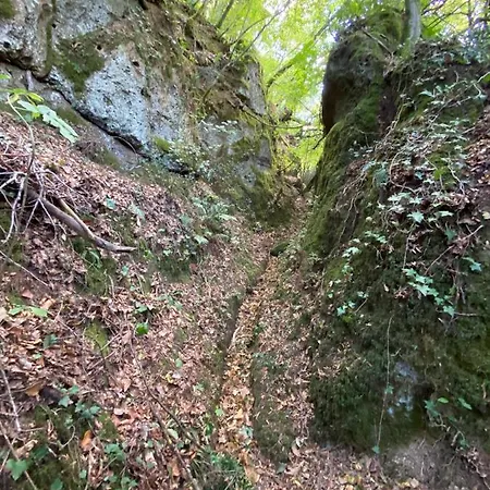 Alloggio per agriturismo Montefosco *